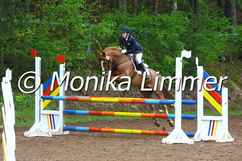 005L4987_Mendelssohn_Spring  Ax.JPG